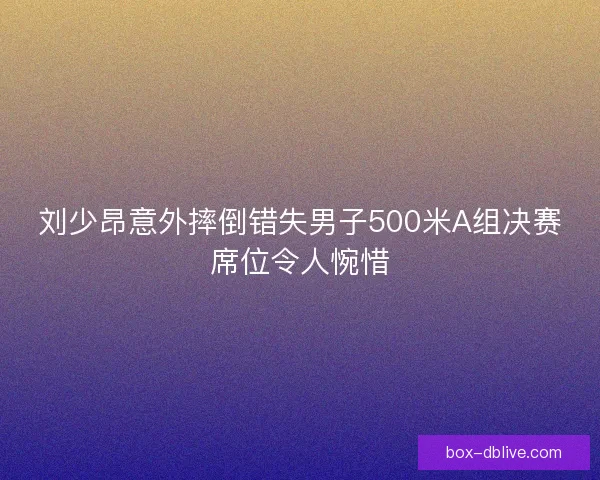 刘少昂意外摔倒错失男子500米A组决赛席位令人惋惜 刘少昂意外摔倒错失男子500米A组决赛席位令人惋惜