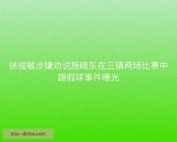 徐骏敏涉嫌劝说施晓东在三镇两场比赛中踢假球事件曝光