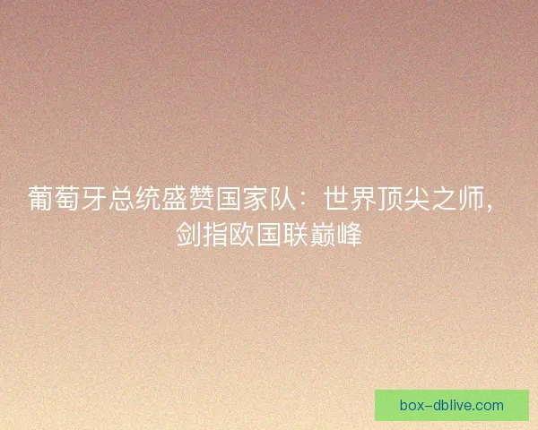 葡萄牙总统盛赞国家队：世界顶尖之师，剑指欧国联巅峰
