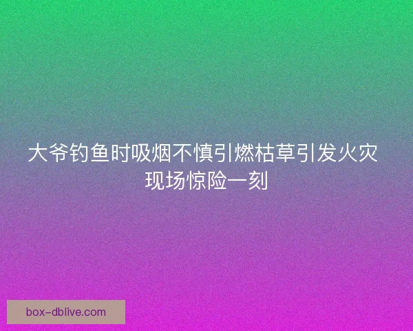 大爷钓鱼时吸烟不慎引燃枯草引发火灾 现场惊险一刻 大爷钓鱼时吸烟不慎引燃枯草引发火灾 现场惊险一刻