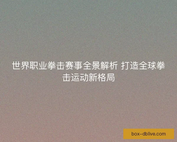 世界职业拳击赛事全景解析 打造全球拳击运动新格局